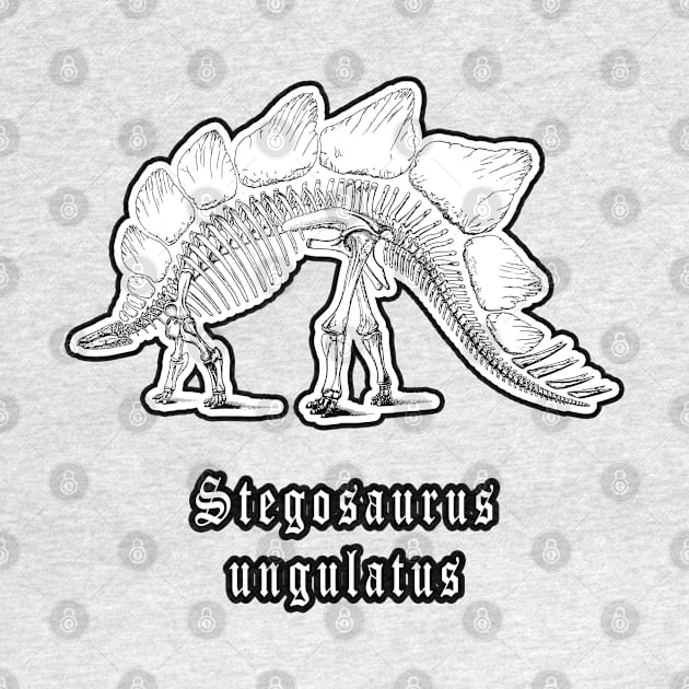 🦖 Fossil Skeleton of a Stegosaurus ungulatus Dinosaur by Pixoplanet